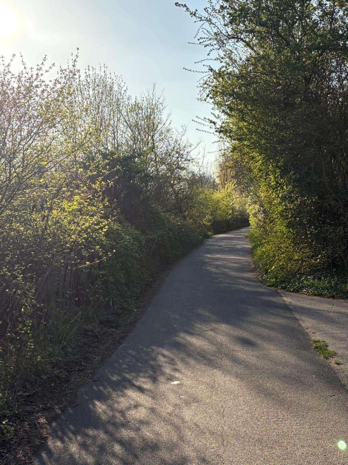 Escale-Marne Fr - 202 - Free Parking - Free Luggage Storage - All Equipped - Linen Included - Washing Machine - 10Mn Walk Metro 8 - Rer A - Panoramic View - From 1 To 14 Guests Майсонс-Алфорт Екстериор снимка